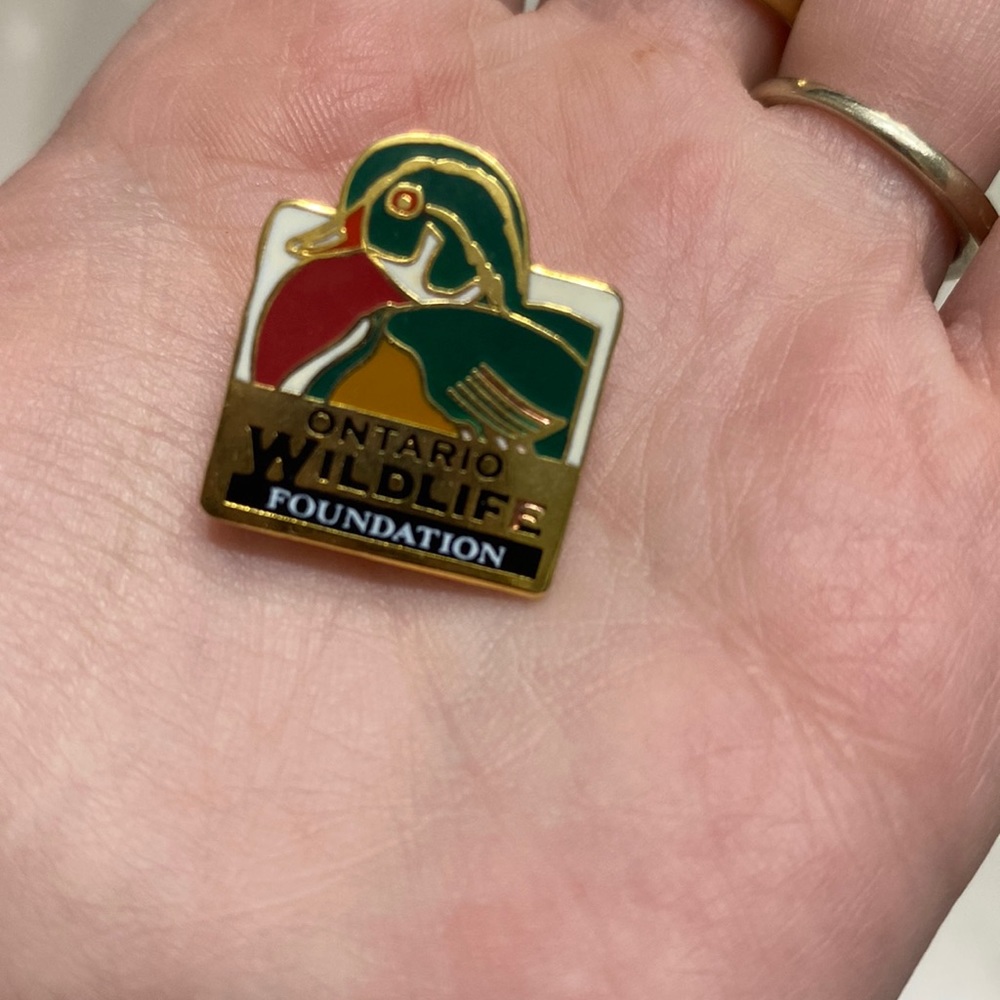 Vintage wildlife foundation pin